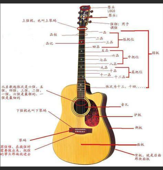  吉他零基础也能速成？别被忽悠了！新手避坑指南，让你少走99%的弯路！