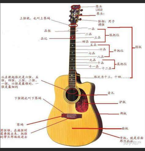  谁说吉他难学？30天后，让你的手指在琴弦上跳舞！新手必看入门攻略！
